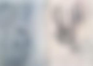 Untitled (clef) (preview)
