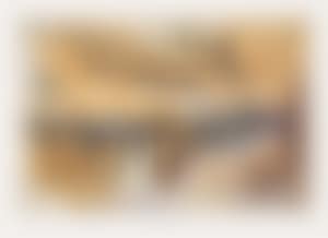 Degenerate art (preview)