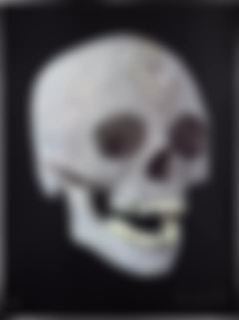 For the Love of God, the Diamond Skull (preview)