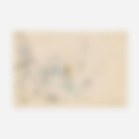 Study for Phenomena (preview)