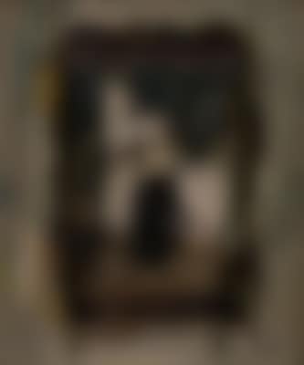 Black raven in a cage (preview)