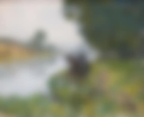 A fisherman with an umbrella on the riverside (preview)