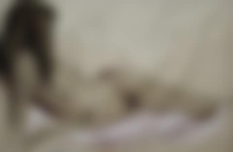 Oriental beauty (preview)