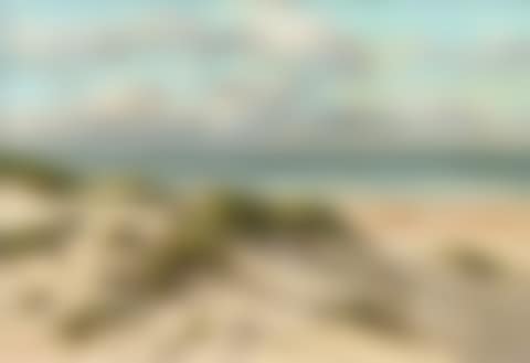 Dunes near Ahrenshoop (preview)