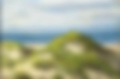 Dunes near Ahrenshoop (preview)