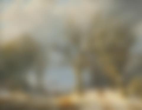 Winter outside the city (preview)