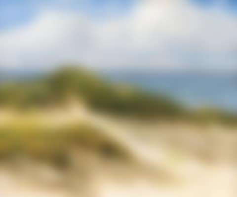 In the dunes of Ahrenshoop (preview)