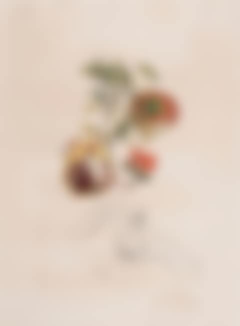 Grenade et l"Ange (preview)