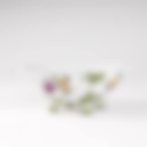 Saucière with floral decor (preview)
