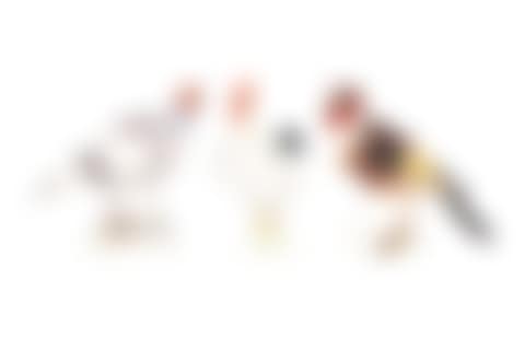 Set of 3 bird figurines (preview)