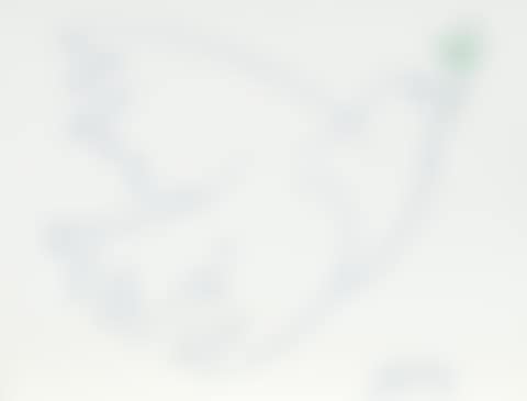 Dove of peace (preview)