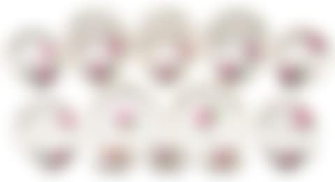 Set of 6 coffee place settings and cups collection "Red Rose" (preview)