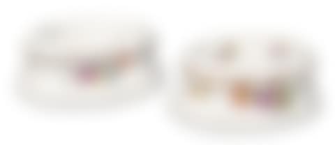 Pair of Salières with floral paintings (preview)