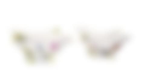 Pair of gravy boats with scattered flowers and basket rim (preview)