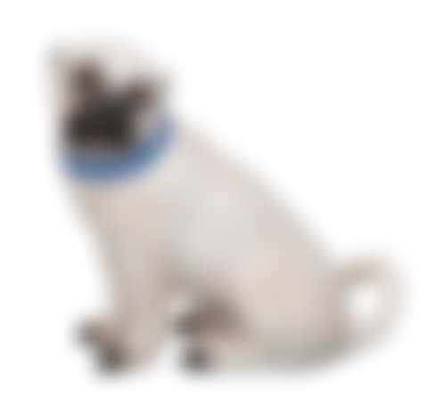 Animal figure "Pug" (preview)