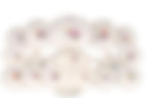 Dinner service "Flower painting with insects" for 12 people (preview)