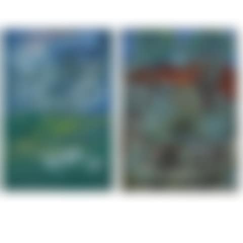 Southern scenery and scenery with birds (preview)