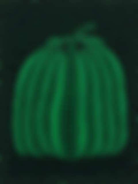Pumpkin (GT) (preview)