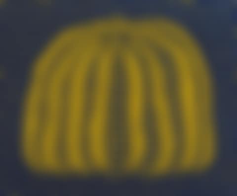 A Pumpkin (BY) (preview)