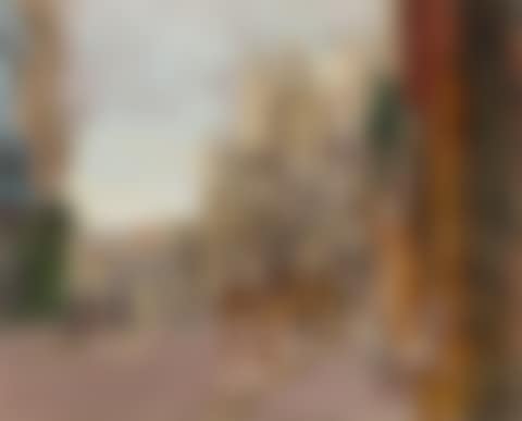Saint Jacques with a Butcher"s Shop (preview)