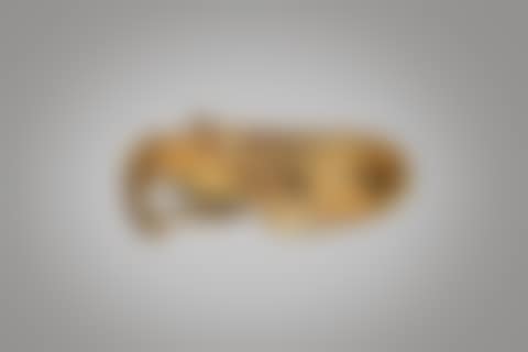 Mixtec Gold Labret of an Avian (preview)