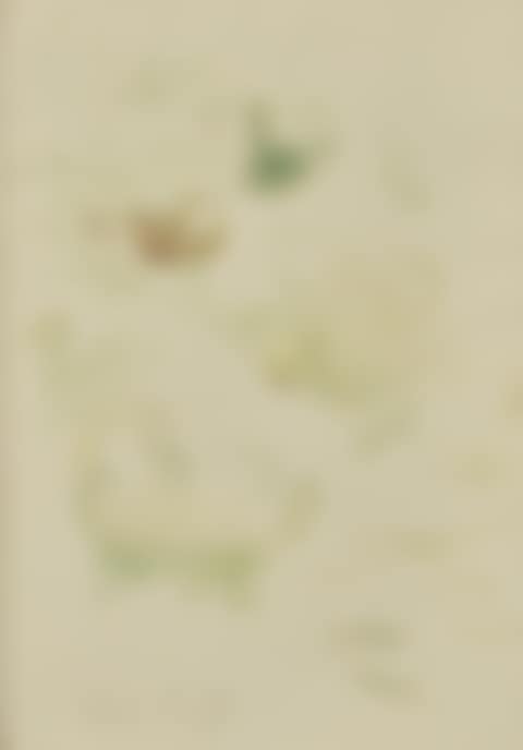 Cygnes et Canards with Reflets dans le Lac verso (A Double-Sided Work) (preview)