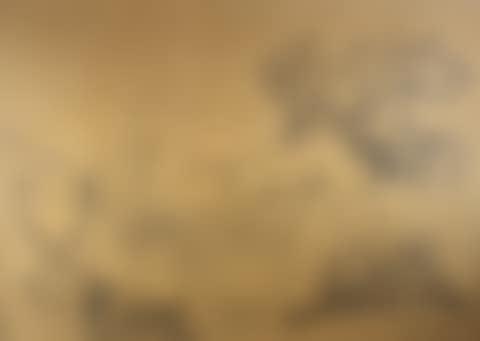 Still life with fruit. (preview)