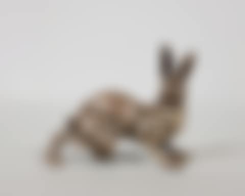 Hare awake. (preview)