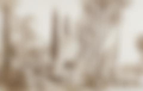 Oriental garden. View of Cairo. (preview)