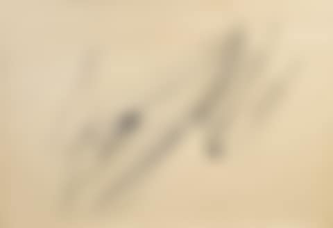 Nude from 1963 (preview)