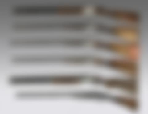 Hunting rifle (preview)