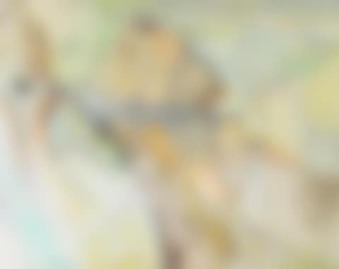 Untitled (preview)