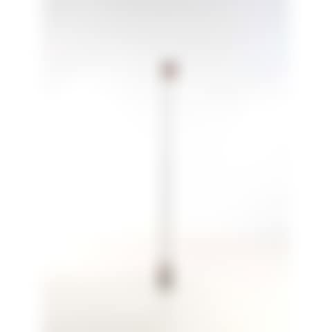 Signal (preview)