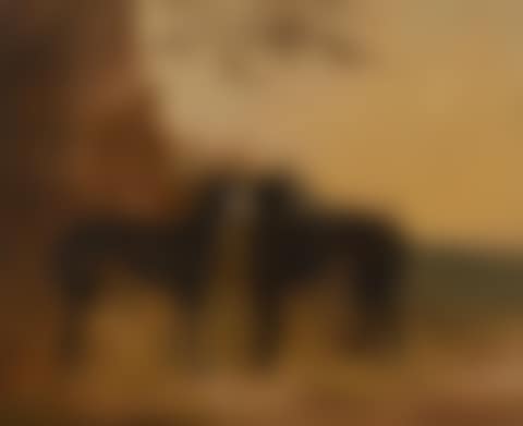 Greyhounds (preview)