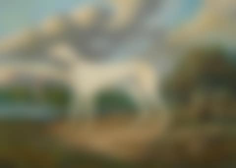 Portrait of a White Greyhound (preview)