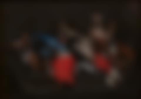 Still Life with Game (preview)