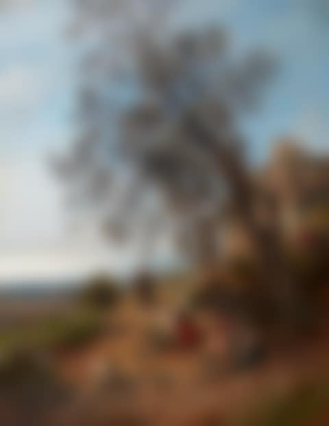 Olive Harvest (preview)