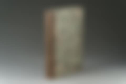 The satiricon (preview)