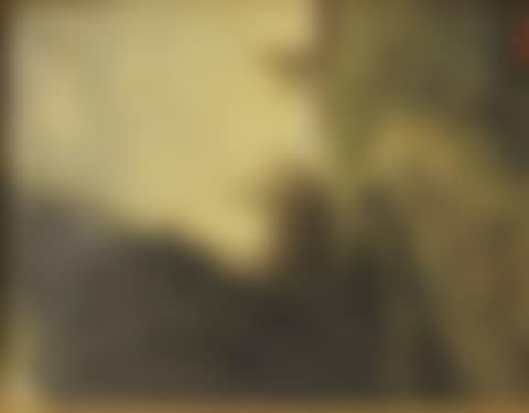 Landscape. (preview)