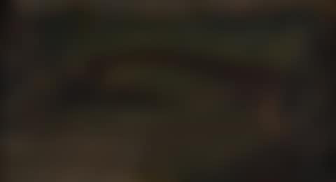 Fishermen under a bridge; Rabbits (preview)
