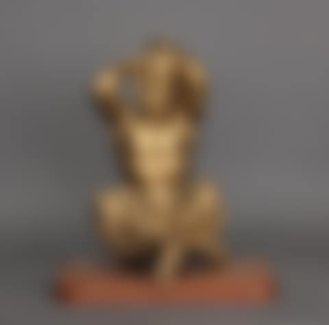 Sitting wildlife (preview)