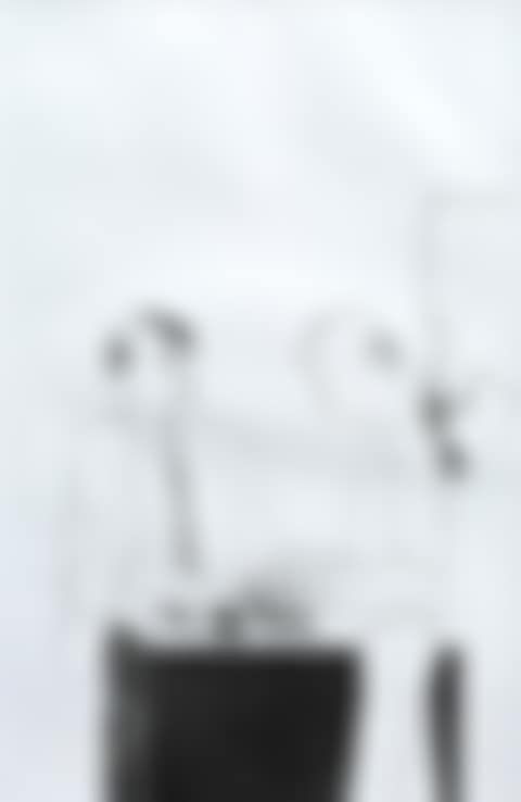 He enquired after the quality (preview)