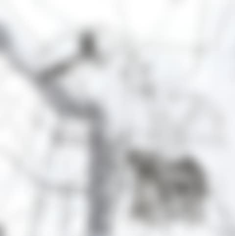 "Hex" (preview)