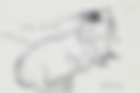 Little Boodge (preview)