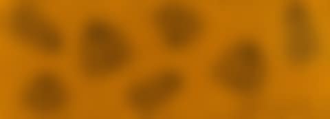Pumpkins (preview)