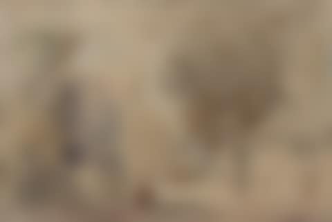 A village Street (preview)