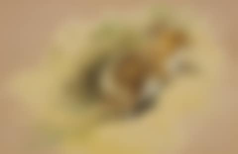 Study of a mouse (preview)