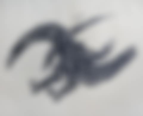 Bird form (preview)