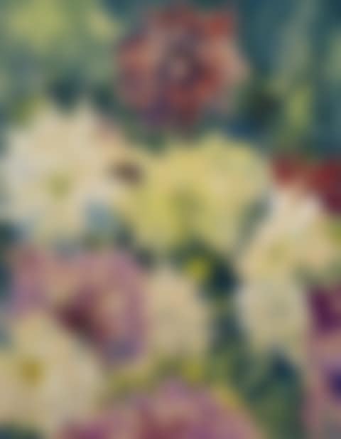Dahlias (preview)
