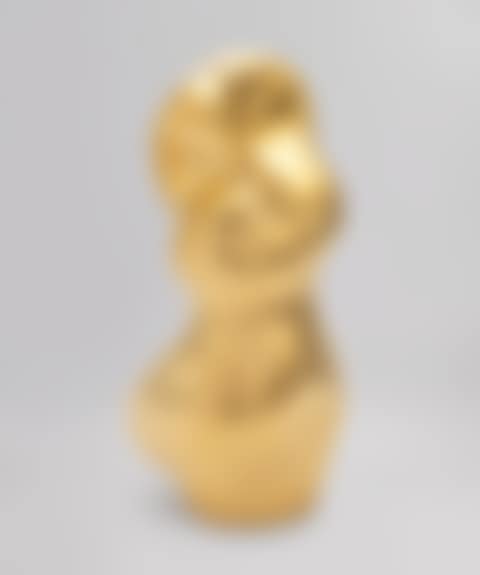 Buste silvestre (preview)